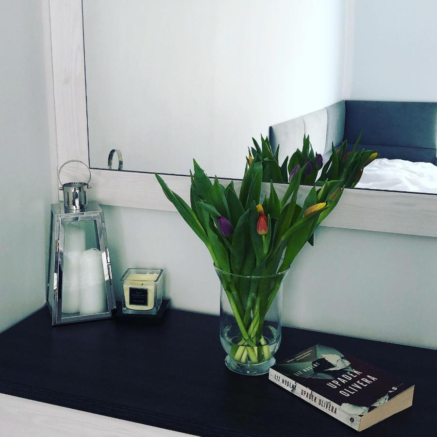 Apartament Happiness Jelenia Gora Dış mekan fotoğraf