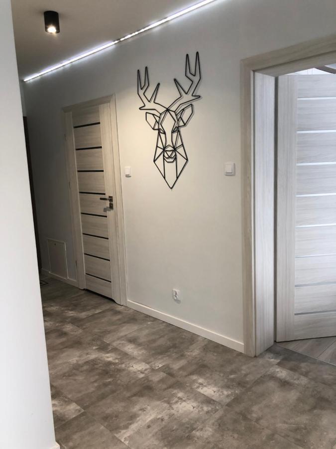 Apartament Happiness Jelenia Gora Dış mekan fotoğraf